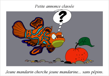 blague sur un mandarin