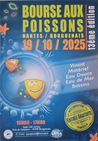 Bourse aux poissons